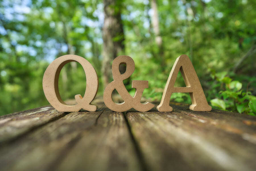 Q&A